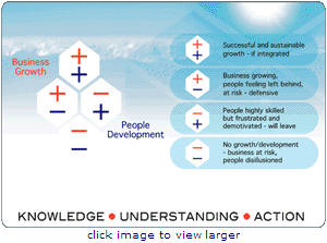 Business growth model business review tools OD organizational development diagnostic