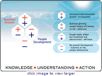 The RapidBI business development and growth model - click here for more details