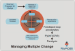 figure - Management model - managing multiple change managing multiple change